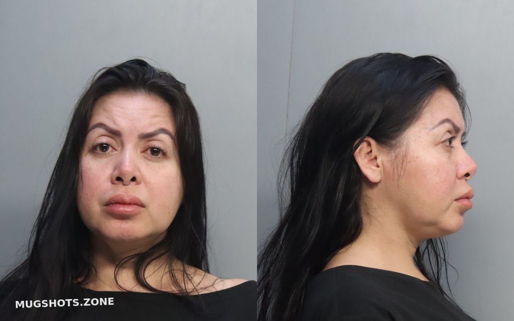 Valencia Vanessa Miami Dade County Mugshots Zone