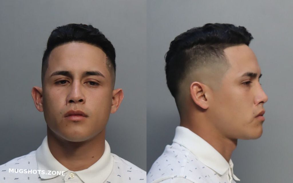 Duran Arrieta Micahel Miami Dade County Mugshots Zone