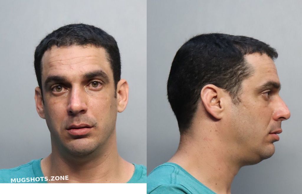 CASTILLO ABRYAN 02 17 2024 Miami Dade County Mugshots Zone