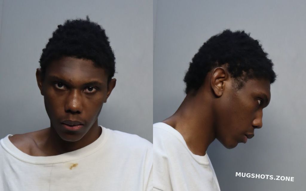 Alfonso Geo Miami Dade County Mugshots Zone