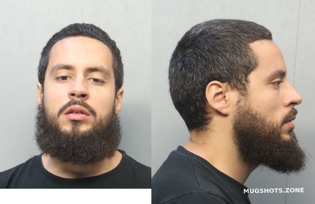 Sanchez Lee Miami Dade County Mugshots Zone