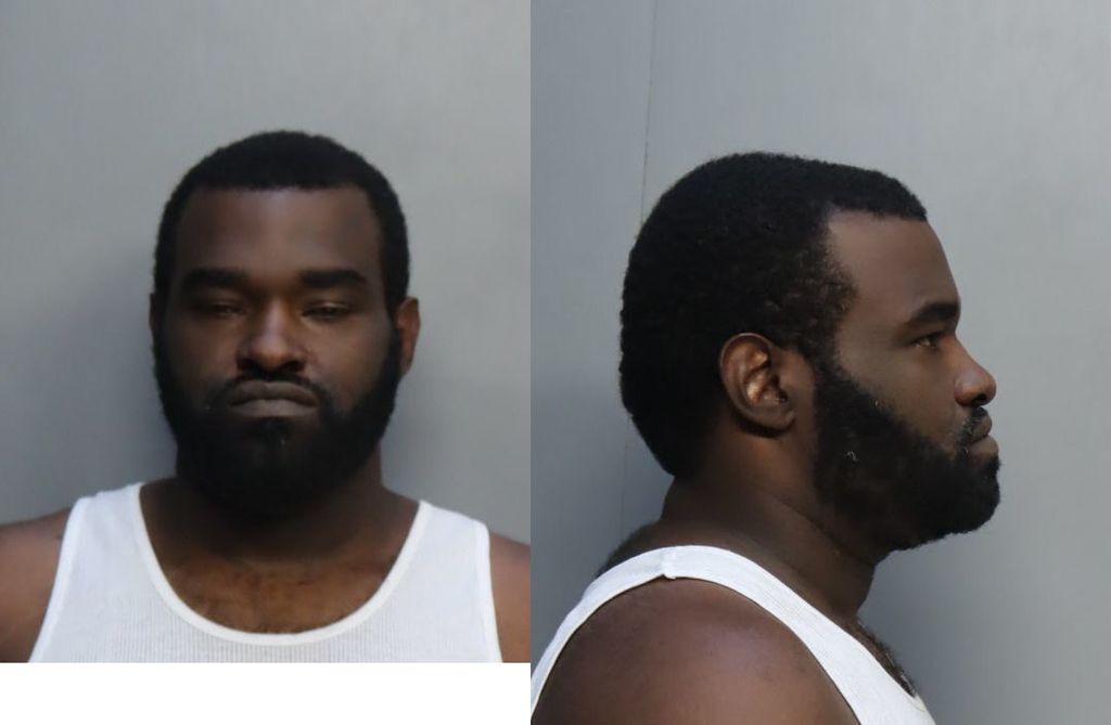 HANNA DESMOND 04 02 2024 Miami Dade County Mugshots Zone