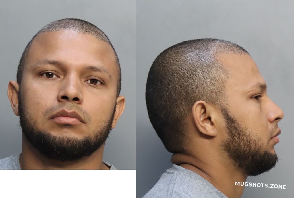 Aceituno Ever Miami Dade County Mugshots Zone