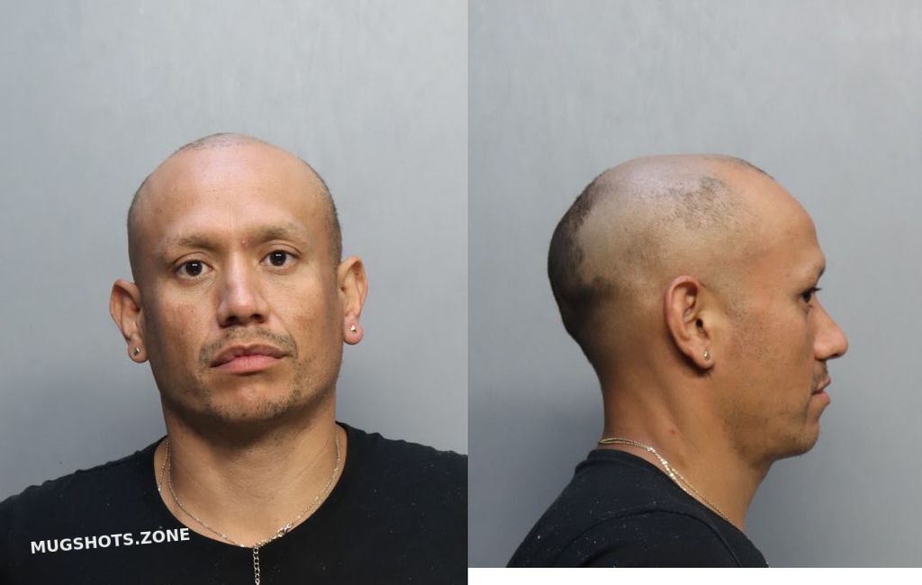 Henriquez Josue Miami Dade County Mugshots Zone