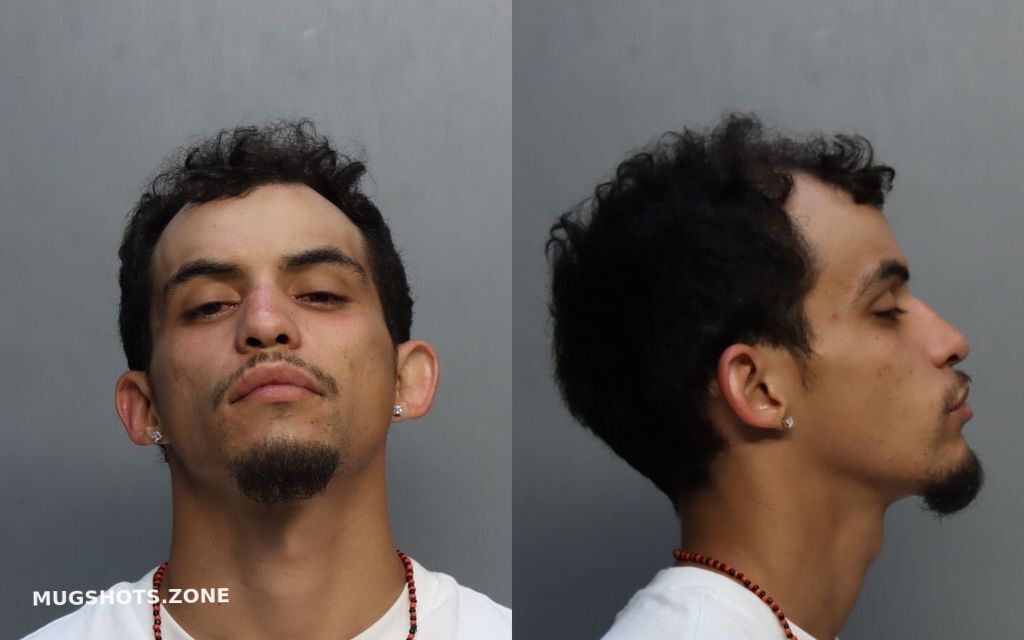 Reinaldo Jesus Delacaridad Miami Dade County Mugshots Zone