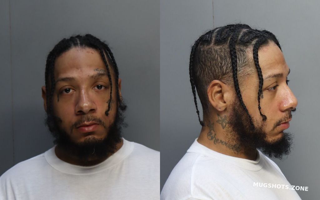 WILLIAMS MICHAEL 06 07 2024 Miami Dade County Mugshots Zone