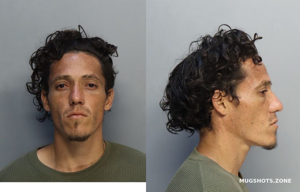 CASTILLO BARBARO 06 15 2024 Miami Dade County Mugshots Zone