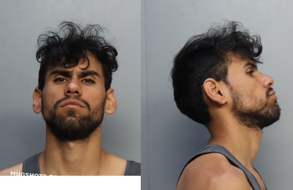 GONZALEZRODRIGUEZ ANGELO 06 15 2024 Miami Dade County Mugshots Zone