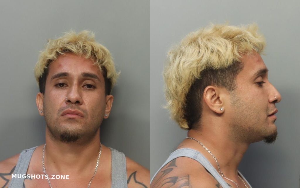 ARCE LUIGI RICK 06 20 2024 Miami Dade County Mugshots Zone