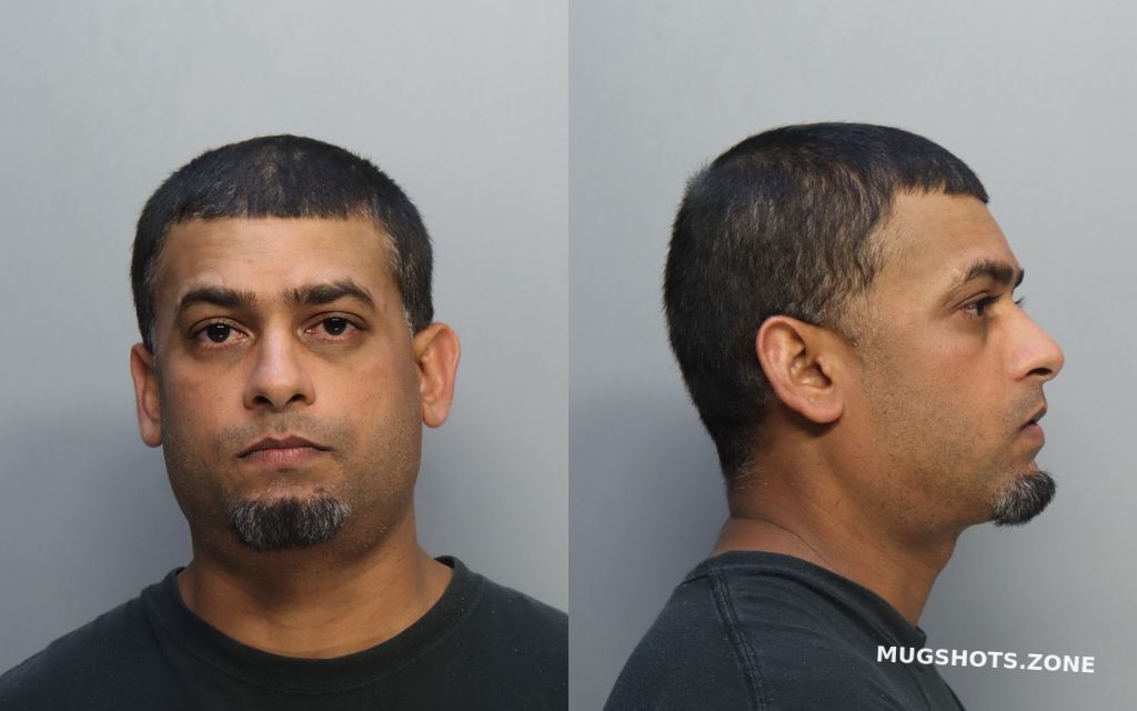 Dyal Alvin Miami Dade County Mugshots Zone