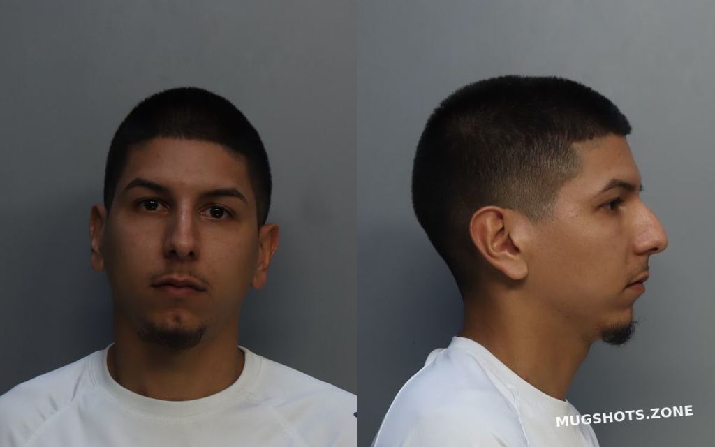 Soler Alexander Miami Dade County Mugshots Zone