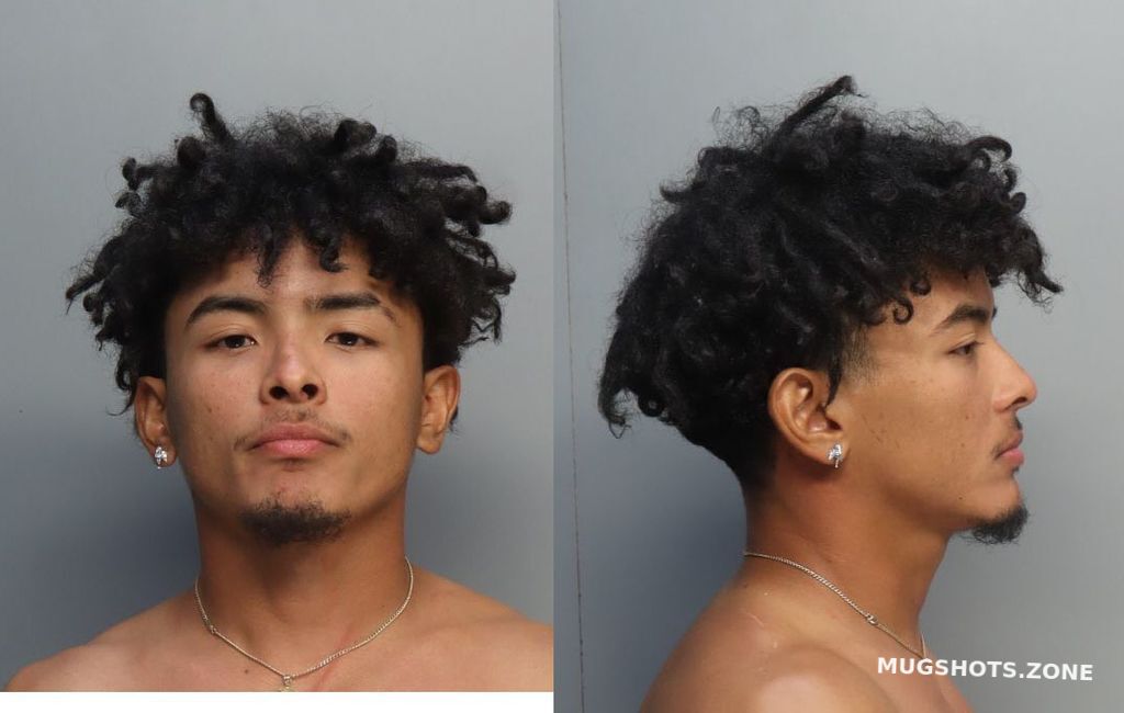 Guadamuz Sanchez Guillermo Jose Miami Dade County Mugshots