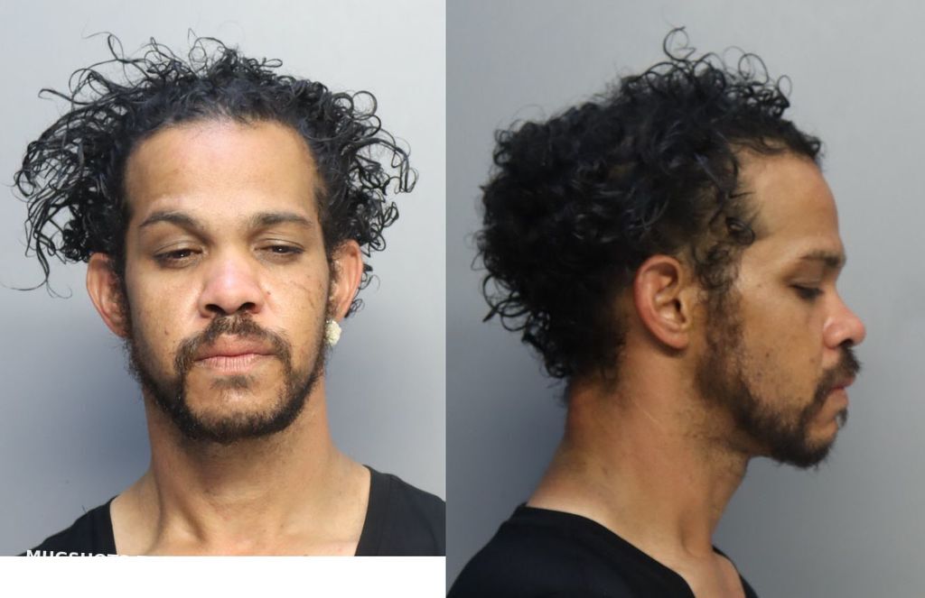 Valentin Johnny Miami Dade County Mugshots Zone