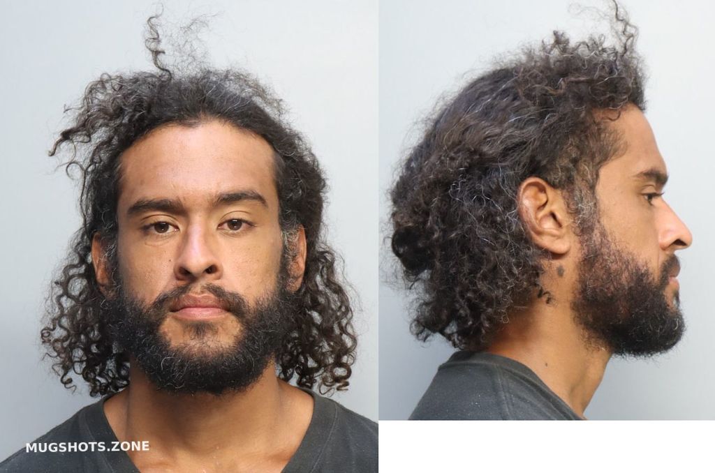 Innis Edwin Miami Dade County Mugshots Zone