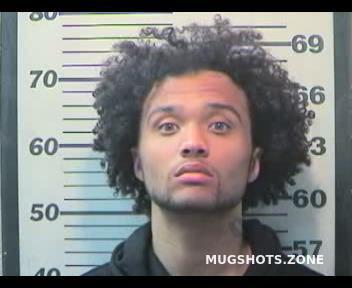 Jordan Trevor Nicholas Mobile County Mugshots Zone