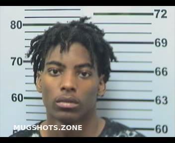 Mitchell Jamail Mobile County Mugshots Zone