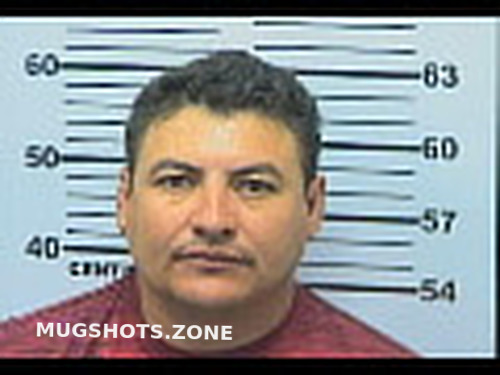 Vega Raymundo Pedraza Mobile County Mugshots Zone