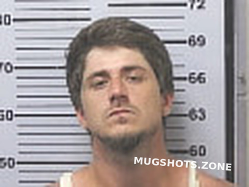 Ladnier Mark Lyle Jr Mobile County Mugshots Zone