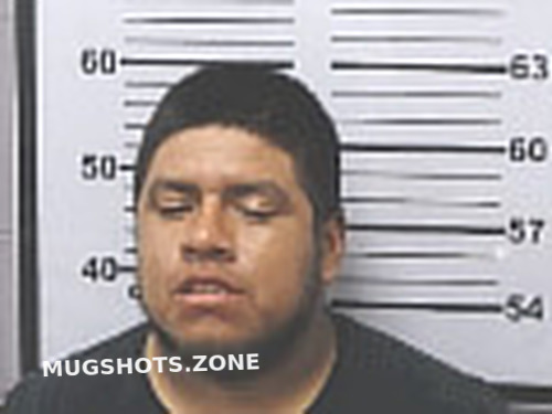 MARCO ANTONIO 06 09 2024 Mobile County Mugshots Zone