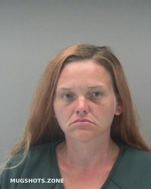 Parker Amanda Rene Montgomery County Mugshots Zone