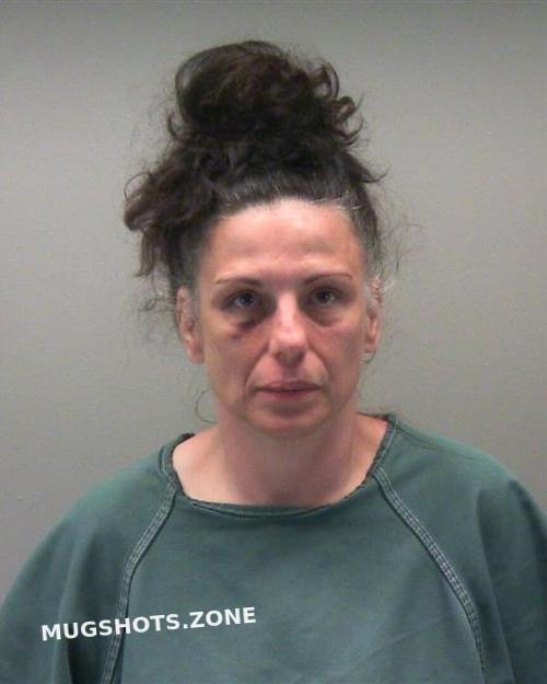 Shockey Shawn Michele Montgomery County Mugshots Zone