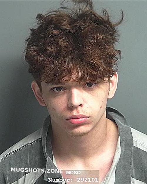 Mendez Julian Mathias Montgomery County Mugshots Zone