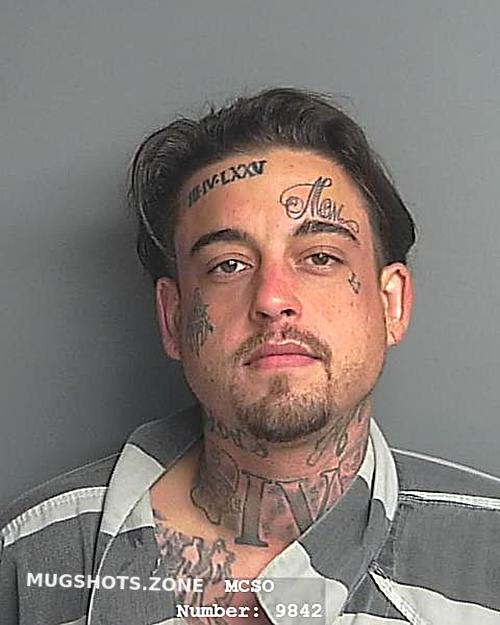 Irizarry Pedro Juan Iv Montgomery County Mugshots Zone