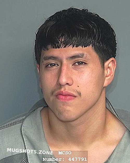 Rubio Bernardo Montgomery County Mugshots Zone