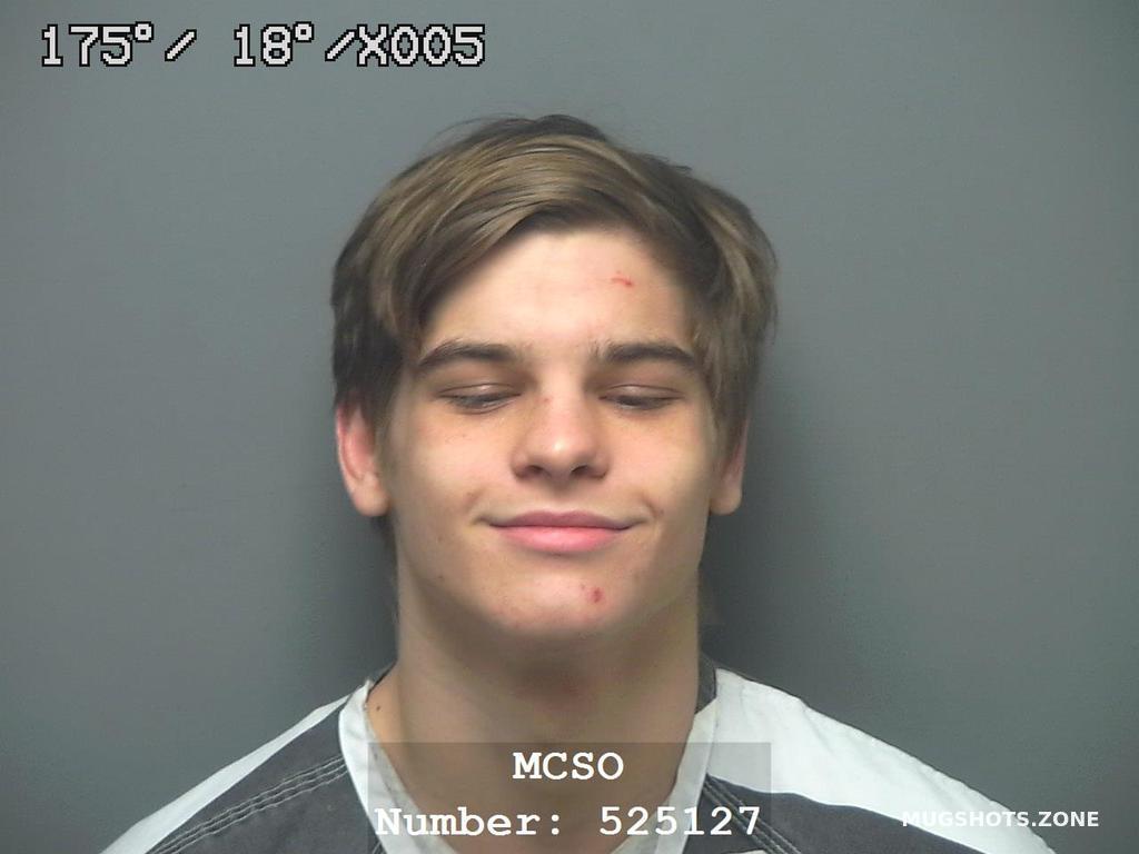 FRITSCHE DYLAN ALEXANDER 06 11 2023 Montgomery County Mugshots Zone