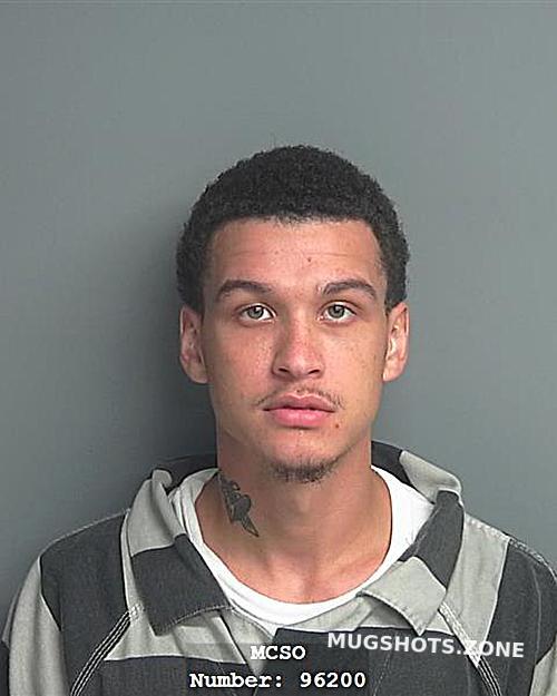 Lewis Don Lee Jr Montgomery County Mugshots Zone