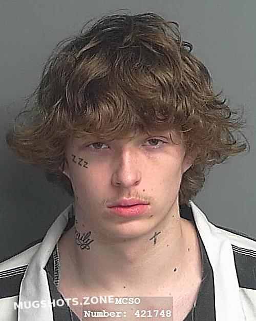 Griffin Skyler Lee Montgomery County Mugshots Zone