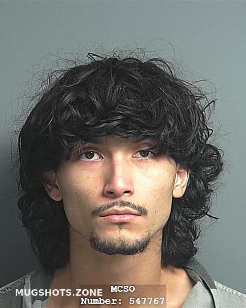 Gutierrez Jairo Alexis Montgomery County Mugshots Zone