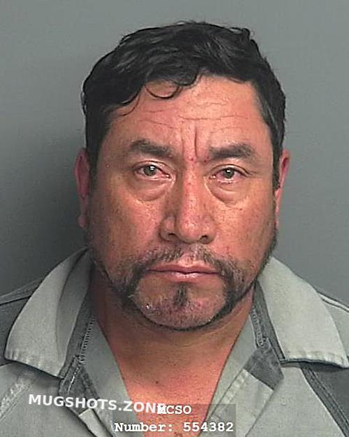 Castillo Enrique Montgomery County Mugshots Zone