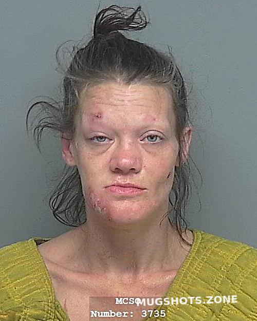 JENKINS JENNY LYNN 02 27 2024 Montgomery County Mugshots Zone