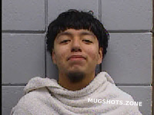 ZAMUDIO MIGUEL 11 05 2022 Navarro County Mugshots Zone