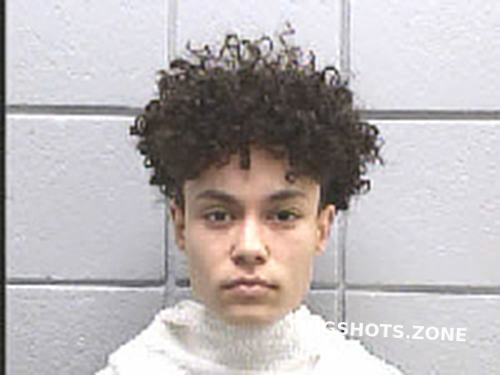 Marzette Kylah Jaedyn Navarro County Mugshots Zone