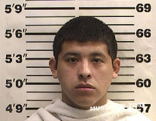 Gutierrez Alejandro Navarro County Mugshots Zone