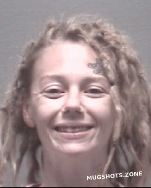 Andrews Bridget Nicole New Hanover County Mugshots Zone