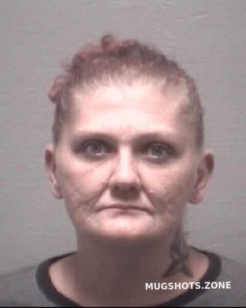 Robbins Amanda Rena New Hanover County Mugshots Zone