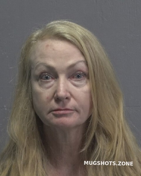 Snyder Deborah Jean New Hanover County Mugshots Zone