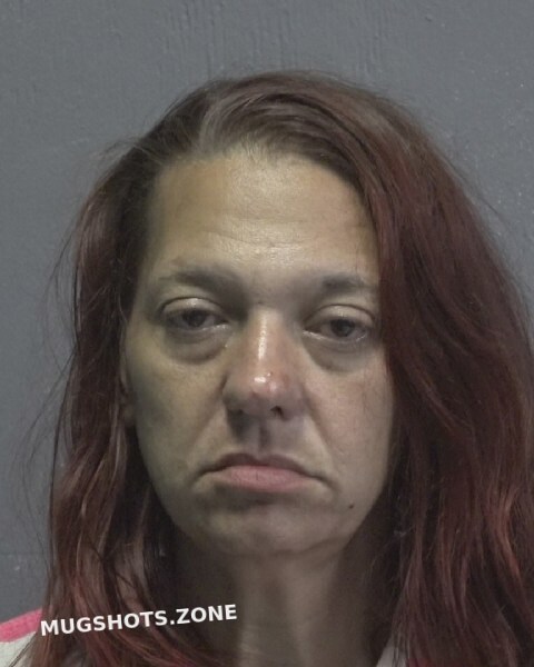 Hawkins Cheryl Bass New Hanover County Mugshots Zone