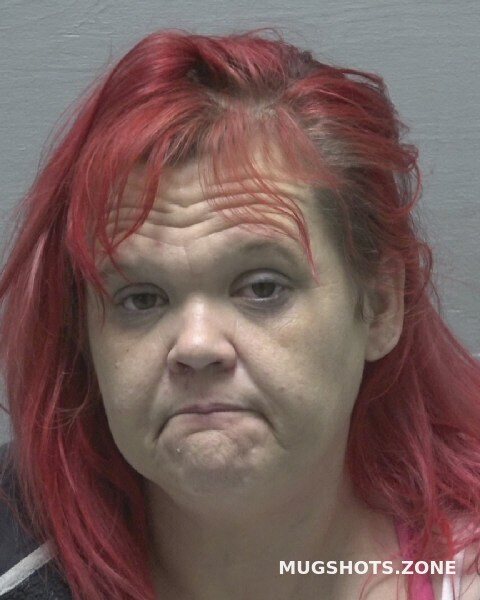 Staff Cynthia Erin New Hanover County Mugshots Zone