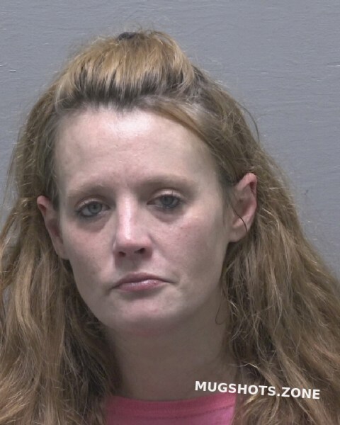 Seitter Amanda Elizabeth New Hanover County Mugshots Zone