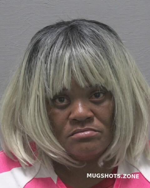 Bostic Linda Elaine New Hanover County Mugshots Zone