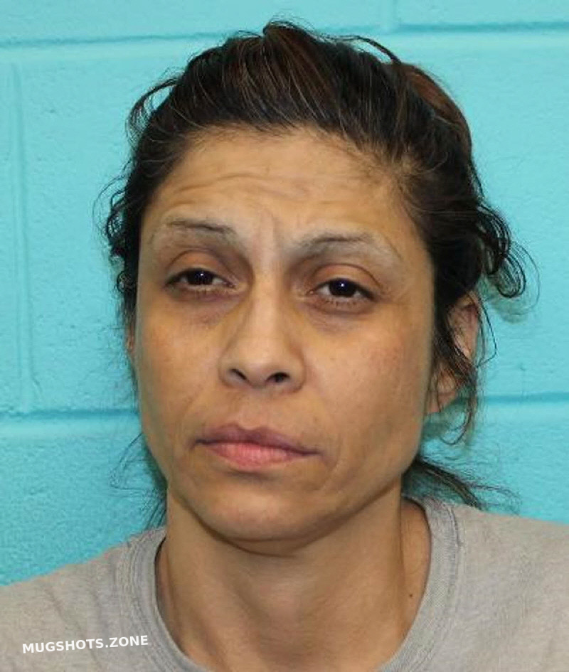 Michelle Villa Robles Nolan County Mugshots Zone