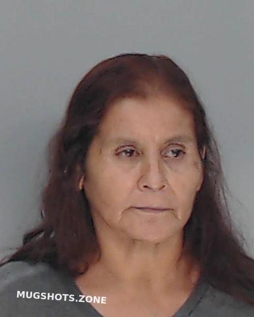 BORREGO GRACIELA 02 13 2023 Nueces County Mugshots Zone