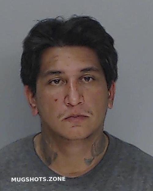 Lozano Sunday Nueces County Mugshots Zone