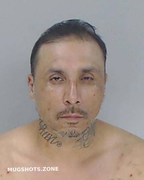 Baldonado Pedro Nueces County Mugshots Zone