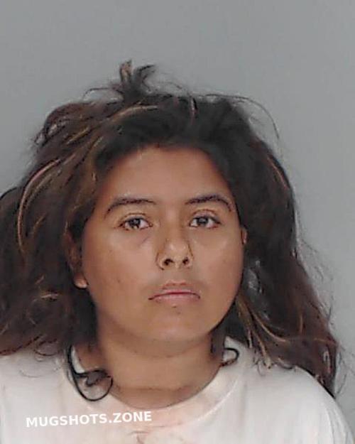 Ramirez Alexandria Victoria Nueces County Mugshots Zone