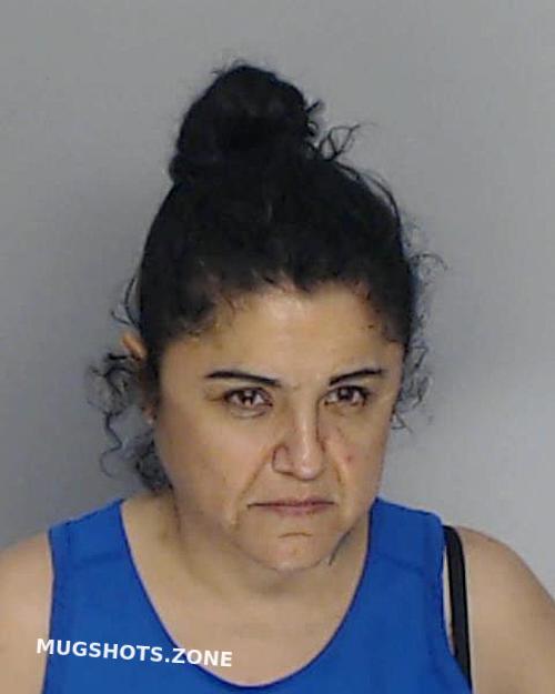 Huape Jennifer Nueces County Mugshots Zone